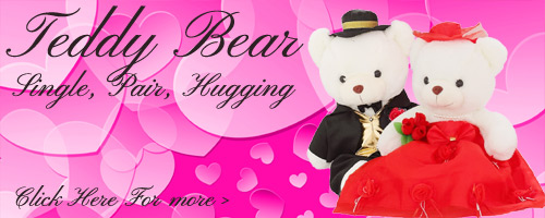 Anniversary Soft Toy to India