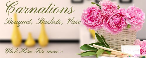 Carnations Flowers to Bareilly