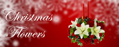Christmas Flowers to Durg