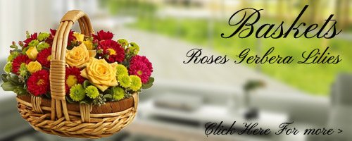 Flowers Arrangement to Bareilly