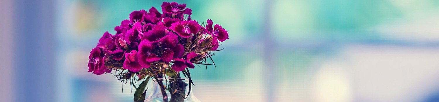 Send Flowers to India