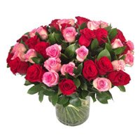 Flowers in India