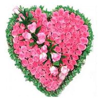 Online Roses delivery same day in India
