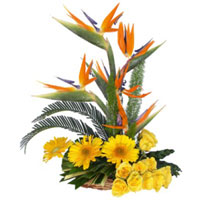 Send Flowers in India