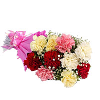 Carnations to India