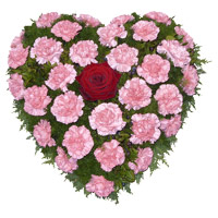 Flower Delivery in India Same Day