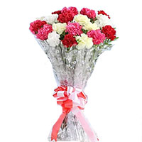 Carnation Flowers to India