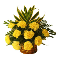 Send Carnation Flowers to India