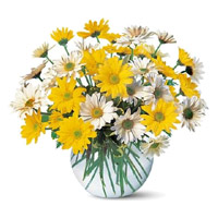 Place Order for Diwali Flowers to India