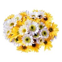 Send Fresh Flowers to India