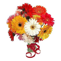 Flowers to India : Carnations Flowers to India
