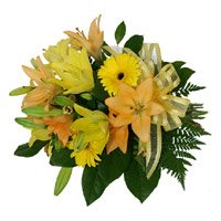 Send Flowers to India