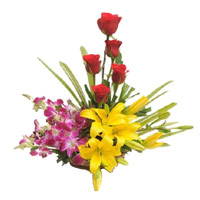 Lily Rose Flowers to India
