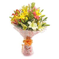 Flowers and Petals India :  Pink White Lily 