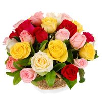 Roses Delivery in India
