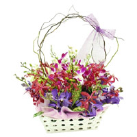 New Born Flower Delivery India