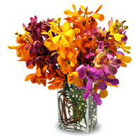 Buy Flowers to India