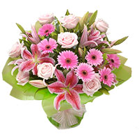 Pink Flowers to India