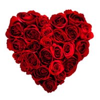 Valentine's Day Flowers to India