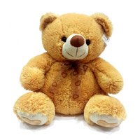 New Year Gifts to India