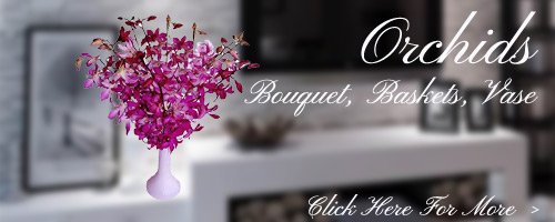 Orchids Flowers to Bareilly