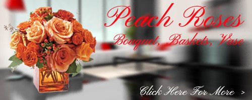 Peach Roses to Bareilly