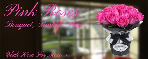 Pink Roses to Bareilly