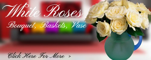 White Roses to Bareilly