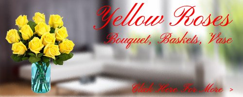 Yellow Roses to Bareilly
